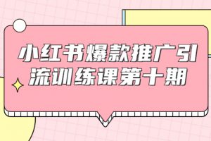 小红书爆款推广引流训练课第十期，手把手带你玩转小红书，轻松月入过万