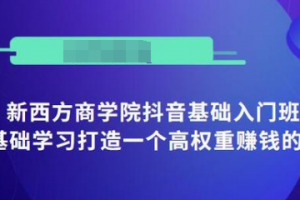 抖音基础入门班：小白0基础学习打造一个高权重赚钱的抖音号