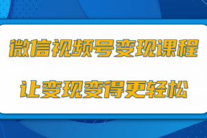 微信视频号变现项目，0粉丝冷启动项目和十三种变现方式