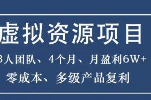 暴疯团队虚拟资源项目，3人团队，4个月，月盈利6W+，高客单价、多产品复利