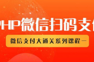 微信扫码支付系列课，支付接口接入必备技术，实现在线自动化收款（5节课）