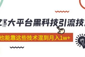 大平台黑科技引流技术，小白也能靠这些技术混到月入1w+(2022年的课程）