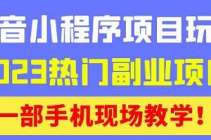 抖音小程序9.0新技巧，2023热门副业项目，动动手指轻松变现