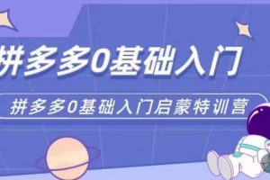 拼多多运营0-1实操特训营，拼多多0基础入门，从基础到进阶的可实操玩法