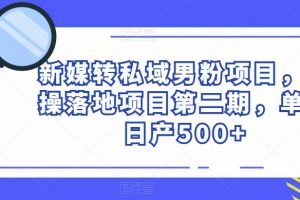 新媒转私域男粉项目，实操落地项目第二期，单号日产500+