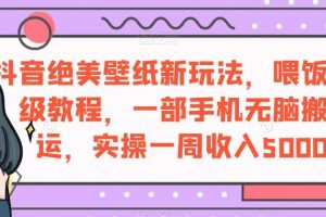 抖音绝美壁纸新玩法，喂饭级教程，一部手机无脑搬运，实操一周收入5000【揭秘】