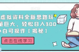 小红书虚拟资料全新思路玩法，流量巨大，轻松日入300+，小白可操作【揭秘】