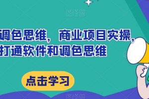 达芬奇调色思维，商业项目实操，打通软件和调色思维