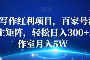 AI写作红利项目，百家号流量主矩阵，轻松日入300+工作室月入5W【揭秘】