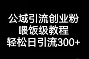 公域引流创业粉，喂饭级教程，轻松日引流300+【揭秘】