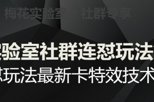 梅花实验室社群连怼玩法第五期，视频号连怼玩法最新卡特效技术