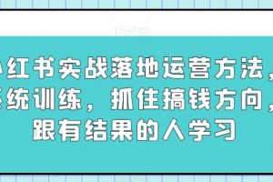 小红书实战落地运营方法，系统训练，抓住搞钱方向，跟有结果的人学习