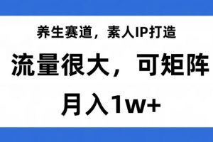 养生赛道，素人IP打造，流量很大，可矩阵，月入1w+【揭秘】