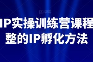 百万IP实操训练营课程，完整的IP孵化方法