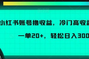 小红书账号撸收益，冷门高收益项目，一单20+，轻松日入300+【揭秘】