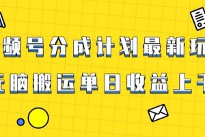 视频号最新爆火赛道玩法，只需无脑搬运，轻松过原创，单日收益上千【揭秘】