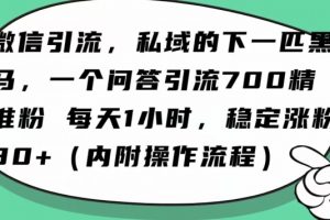 怎么搞精准创业粉？微信新赛道，每天一小时，利用Ai一个问答日引100精准粉