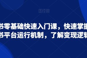 小红书零基础快速入门课，快速掌握小红书平台运行机制，了解变现逻辑