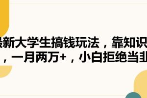 最新大学生搞钱玩法，靠知识掘金，一月两万+，小白拒绝当韭菜【揭秘】