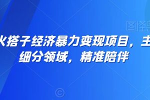 全网最火搭子经济暴力变现项目，主打垂直细分领域，精准陪伴【揭秘】