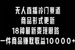 无人直播冷门赛道，商品形式更新，18种变现思路，一件商品赚取收益10000+【揭秘】