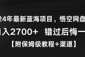 2024年最新蓝海项目，悟空网盘拉新，日入2700+错过后悔一年【附保姆级教程+渠道】【揭秘】