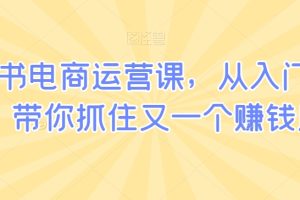 小红书电商运营课，从入门到精通，带你抓住又一个赚钱风口