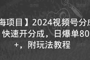 【蓝海项目】2024视频号分成计划，快速开分成，日爆单8000+，附玩法教程