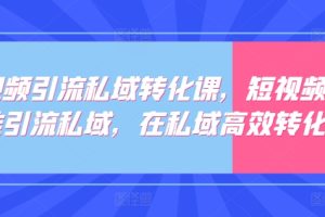 短视频引流私域转化课，短视频精准引流私域，在私域高效转化