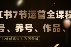 7节小红书运营实战全教程，结合最新情感赛道，打通小红书运营全流程【揭秘】