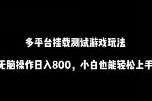 多平台挂载测试游戏玩法，无脑操作日入800，小白也能轻松上手【揭秘】