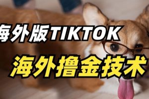 抖音海外版tiktok撸金技术，这个风口行业，赚钱真的不难【揭秘】