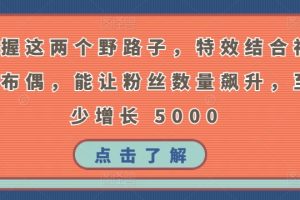 掌握这两个野路子，特效结合神奇布偶，能让粉丝数量飙升，至少增长 5000【揭秘】