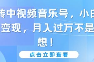 玩转中视频音乐号，小白副业变现，月入过万不是幻想【揭秘】