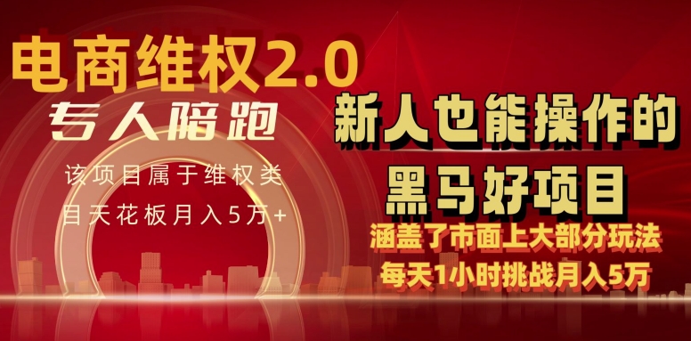 电商维权 4.0 如何做到月入 5 万+每天 1 小时新人也能快速上手【仅揭秘】