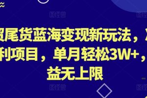 外贸尾货蓝海变现新玩法，冷门暴利项目，单月轻松3W+，收益无上限【揭秘】