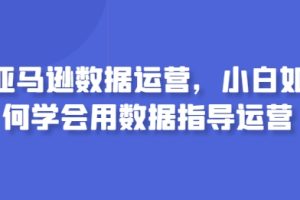 亚马逊数据运营，小白如何学会用数据指导运营