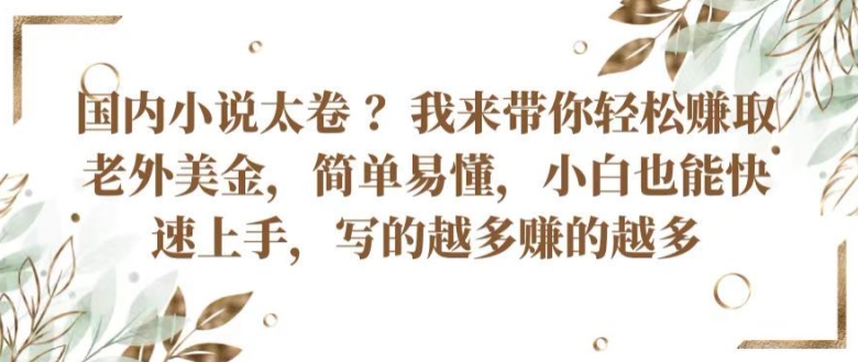 国内小说太卷 ?带你轻松赚取老外美金，简单易懂，小白也能快速上手，写的越多赚的越多【揭秘】