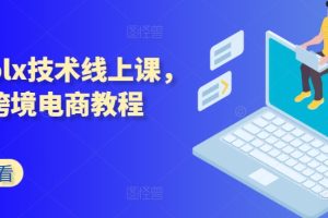 波兰olx技术线上课，kim跨境电商教程