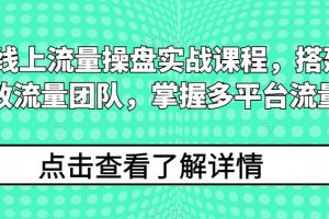 2024线上流量操盘实战课程，搭建高人效流量团队，掌握多平台流量