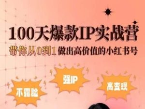 小红书100天爆款IP实战营，带你从0到1做出高价值的小红书号