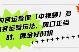 海外内容运营课【中视频】多种内容运营玩法，风口正当时，掘金好时机