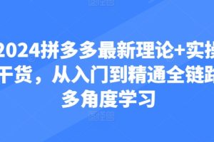 2024拼多多最新理论+实操干货，从入门到精通全链路多角度学习