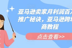 亚马逊卖家月利润百万的推广秘诀，亚马逊跨境电商教程