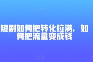 短剧如何把转化拉满，如何把流量变成钱