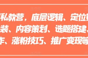 小红书私教营，底层逻辑、定位赛道、账号包装、内容策划、选题搭建、爆款创作、涨粉技巧、推广变现等等