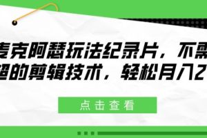 麦克阿瑟玩法纪录片，不需高超的剪辑技术，轻松月入2w+【揭秘】