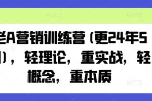 老A营销训练营(更24年7月)，轻理论，重实战，轻概念，重本质