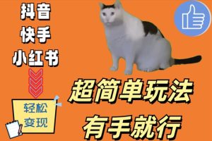 超简单玩法，有手就行，靠猫咪视频日入500+【揭秘】