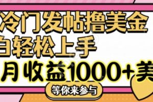 冷门发帖撸美金项目，月收益1000+美金，简单无脑，干就完了【揭秘】